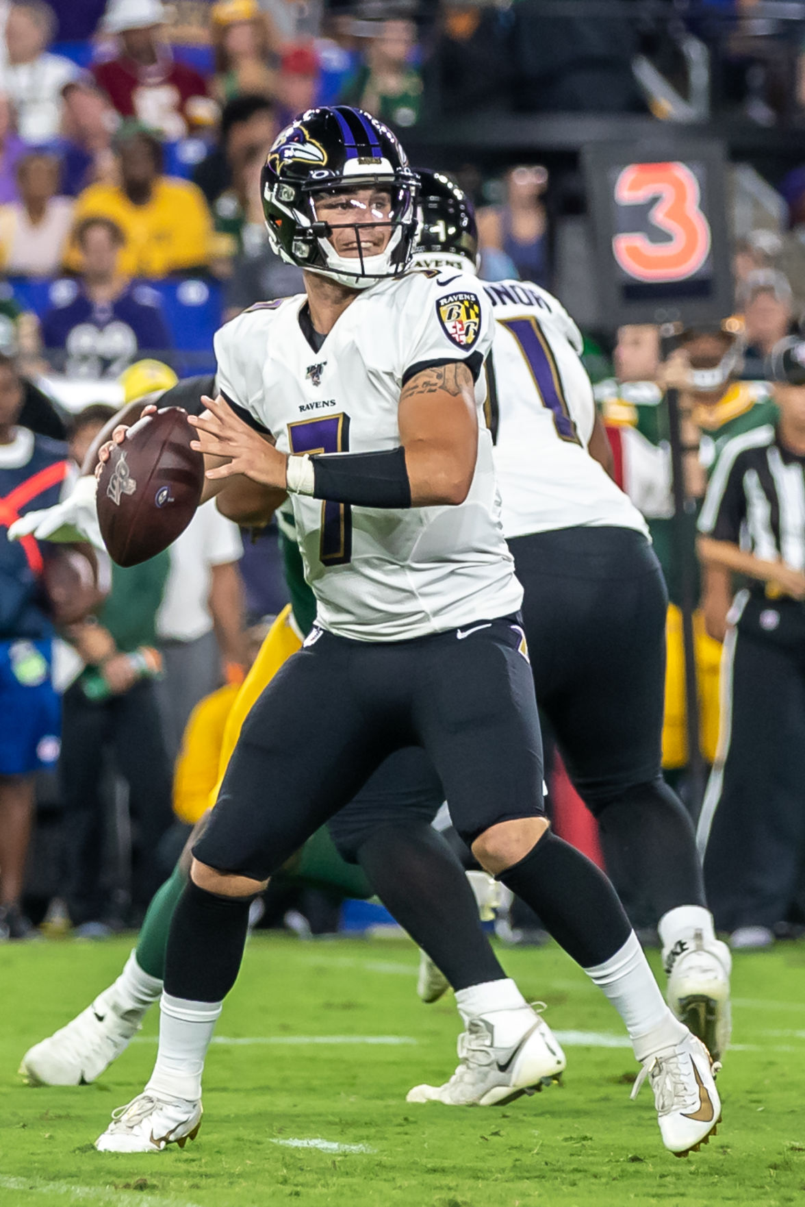Ravens @ Packers-13.jpg
